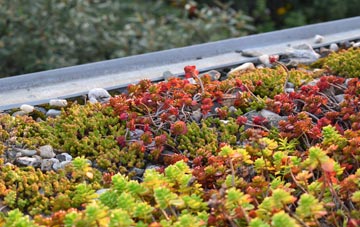 the cost of Fordcombe green roof installation
