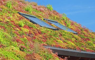 Fordcombe living roof systems